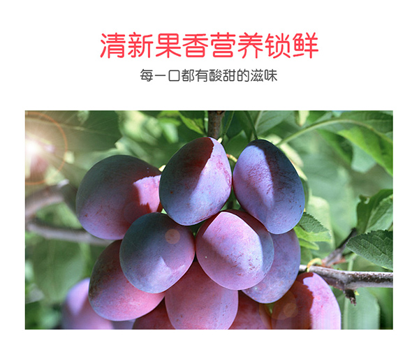 巴瑪熊加州西梅 (14).jpg