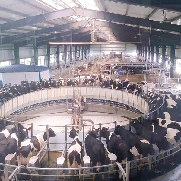 探訪(fǎng)每嘉工廠(chǎng)之旅 見(jiàn)證高品質(zhì)奶粉的誕生5.jpg