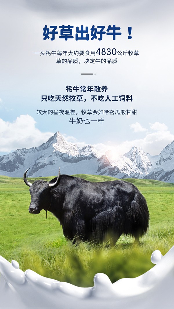善佳優(yōu)品8849牦牛益生菌配方奶粉詳情_02.jpg