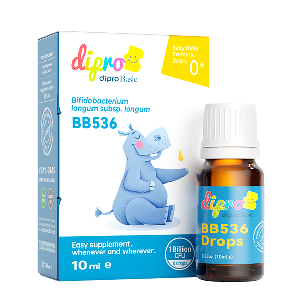  Dipro���o��Basic BB536������