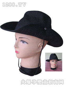 ���ؕr�к�ɫñ