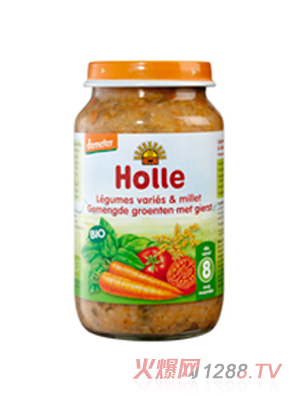 Holle�ЙC(j��)ʲ�\�߲�С�׋냺���^