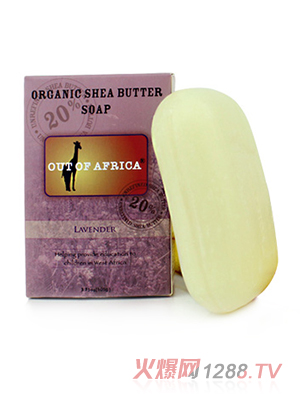 ��ľ�������� ޹�²�