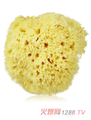 �n��(gu��)MAMATTI��ͯ������ԡ��