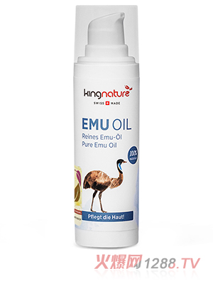 ��������ʿ������